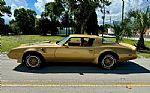 1979 Trans Am Thumbnail 2