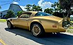 1979 Trans Am Thumbnail 3