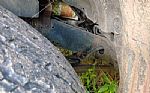1996 LX 450 Thumbnail 21