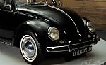 1952 Beetle Thumbnail 5