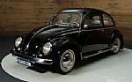 1952 Beetle Thumbnail 7
