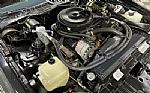 1983 Firebird Thumbnail 40