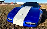 1996 Corvette Thumbnail 8