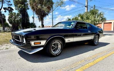 1973 Ford Mustang Fastback Mach 1
