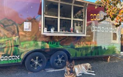 Photo of a 2021 Food Trailer Concession Utility Trailer for sale