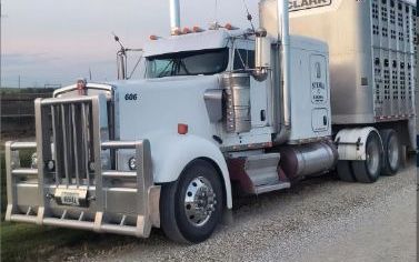 Photo of a 2006 Kenworth W900L Sleeper Trucks for sale