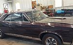 1967 GTO Ram Air Thumbnail 1