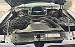 1979 Trans Am Firebird Thumbnail 4