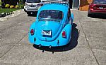 1968 Beetle Thumbnail 3