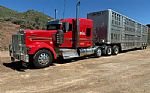 2024 W900L Thumbnail 1