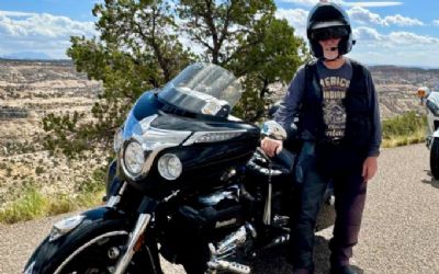 Photo of a 2017 Indian Roadmaster for sale