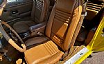 1979 Trans Am Thumbnail 19