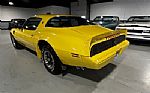 1979 Trans Am Thumbnail 26