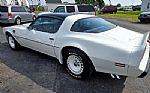 1981 Firebird Thumbnail 4