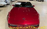 1992 Corvette Thumbnail 6