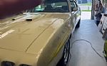 1970 GTO Judge Tribute Thumbnail 3