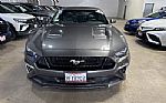 2019 Mustang GT Premium Thumbnail 2
