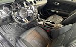 2019 Mustang GT Premium Thumbnail 9