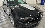 2010 Mustang Thumbnail 9