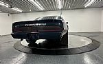 1979 Trans Am Thumbnail 61