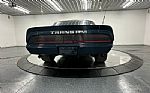 1979 Trans Am Thumbnail 64