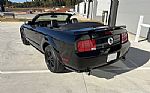 2006 Mustang GT Premium Thumbnail 3