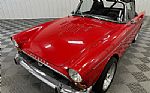 1965 Tiger Thumbnail 6