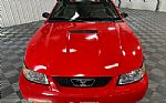 2000 Mustang Thumbnail 8