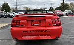 2000 Mustang GT Thumbnail 18