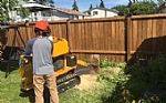2020 P38M Stump Grinder Thumbnail 2