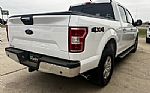 2020 F-150 Thumbnail 5