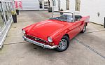 1966 Tiger Thumbnail 5