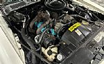 1980 Firebird Thumbnail 43