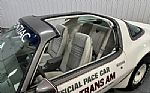 1980 Firebird Thumbnail 49