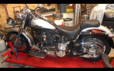 2003 Harley-Davidson Flstfi 