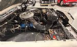 1979 Continental Thumbnail 48