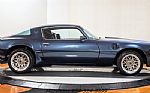 1981 Trans Am TURBO Thumbnail 7