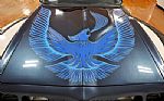 1981 Trans Am TURBO Thumbnail 14