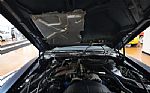 1981 Trans Am TURBO Thumbnail 27