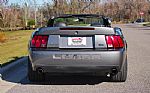 2003 Mustang SVT Cobra Thumbnail 4