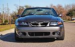 2003 Mustang SVT Cobra Thumbnail 23