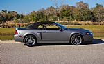 2003 Mustang SVT Cobra Thumbnail 38