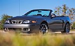 2003 Mustang SVT Cobra Thumbnail 60