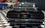1978 Firebird Trans Am Thumbnail 19