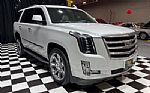 2020 Escalade ESV Thumbnail 16