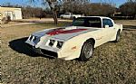 1979 Firebird Trans Am Thumbnail 4
