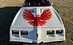1979 Firebird Trans Am Thumbnail 7