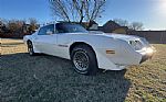 1979 Firebird Trans Am Thumbnail 19