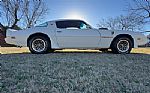 1979 Firebird Trans Am Thumbnail 24
