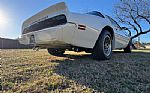 1979 Firebird Trans Am Thumbnail 29